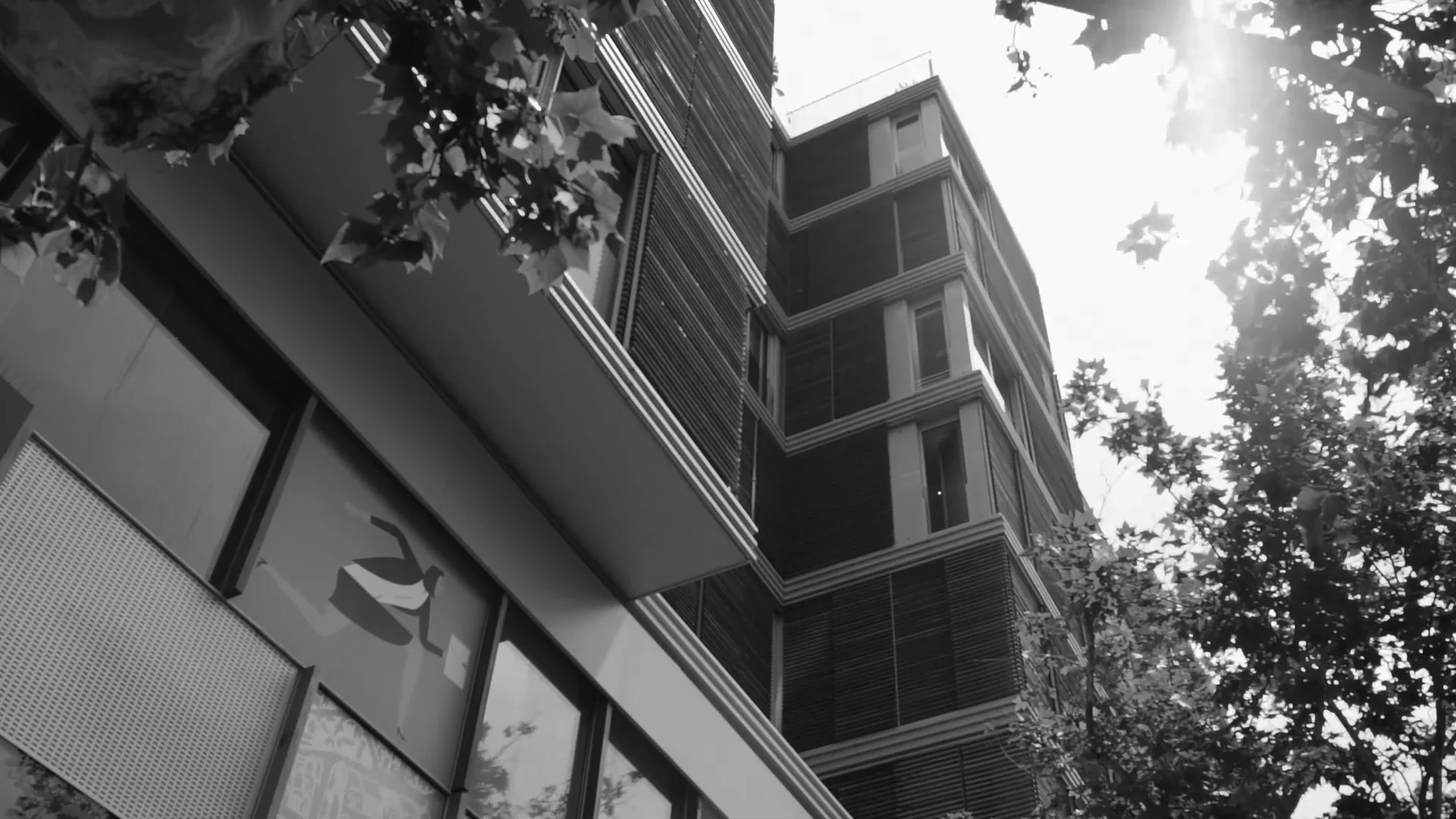 Encuentros empresariales Isho Design